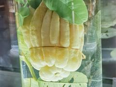 -广东中医药博物馆