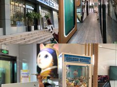 -pd派德宠物中心医院24H急重症·眼科中心·血液透析中心(嵩山北路店)