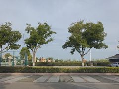 -金沙湖旅游度假区