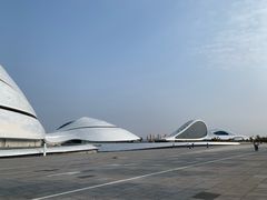 -哈尔滨大剧院