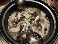 -润泽园椰子鸡(汇一城店)