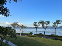 -深圳湾公园(南山区)
