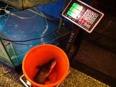 -粗粮人家·东北菜(洋桥店)