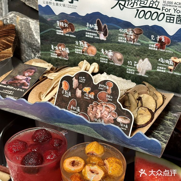 新鲜野生菌子每天打飞的来，就为提供这口新鲜