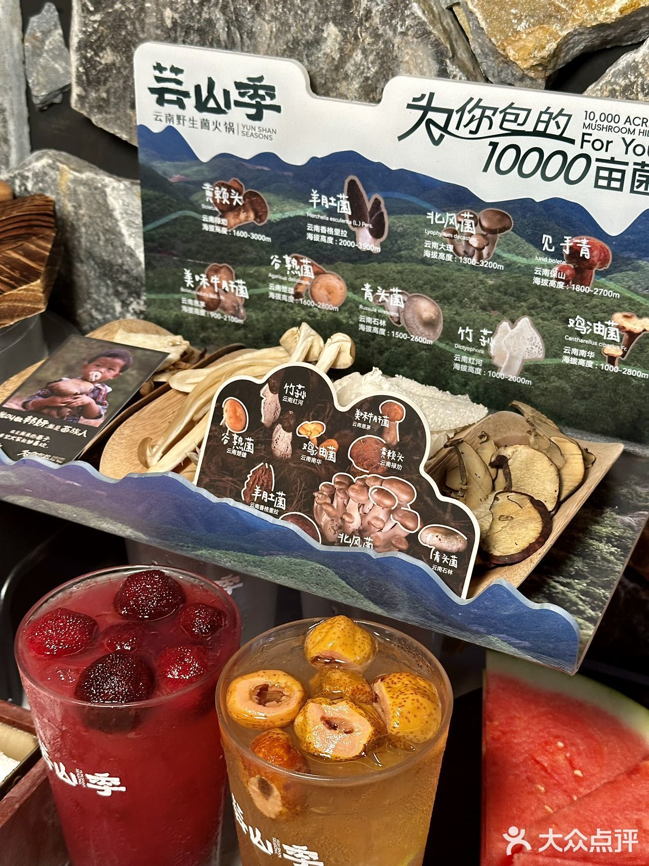 新鲜野生菌子每天打飞的来，就为提供这口新鲜