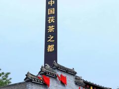 -茯茶镇