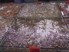 九节虾-渔傅·蓝海岸霞浦海鲜(正祥店)