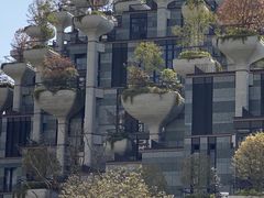 -苏州河梦清园环保主题公园