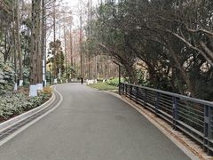 -苏州河梦清园环保主题公园