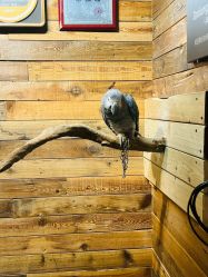 -Zoolung Zoolung动物主题公园(海信广场店)