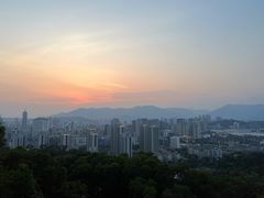 -金鸡山公园
