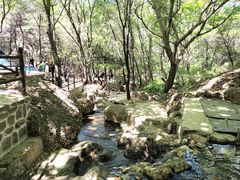 -山叶口景区