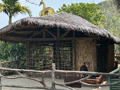 -海南槟榔谷黎苗文化旅游区
