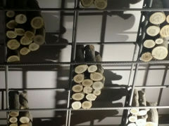 android_upload_pic-陆壹捌餐厅(五大道店)