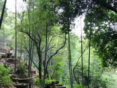 -千泷沟大瀑布旅游区