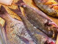 -镹·鱼料理  国产鱼使用店