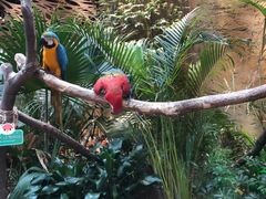 -杭州开元森泊度假乐园