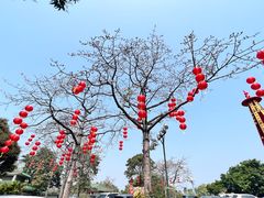 -广州莲花山旅游区