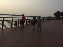 -丁香湖公园