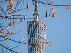 -二沙岛艺术公园