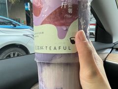 -星满杯TEAFUL(罗湖东门店)
