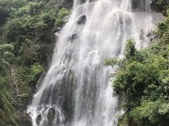 -圣捞海鲜自助餐厅(乐从天佑城店)