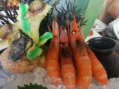-福樱兰海鲜放题铁板烧(加州店)
