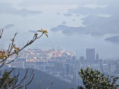 -梧桐山风景名胜区