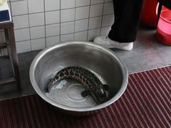 -老四川平头酸菜鱼(衙前店)