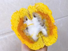 -奈雪的茶(亨特国际广场店)