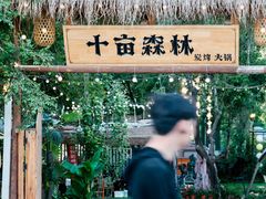 -十亩森林