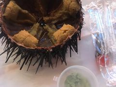 -Hatsune隐泉日式料理(SKP店)