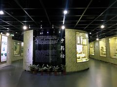 -广东中医药博物馆