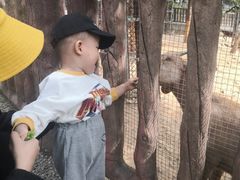 -石家庄市动物园