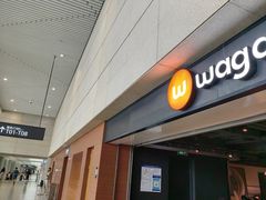 -Wagas沃歌斯(虹桥机场T1店)