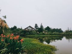 -桤木河湿地公园