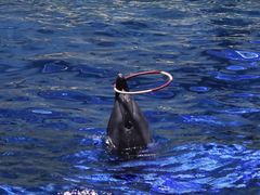 -福州罗源湾海洋世界旅游区