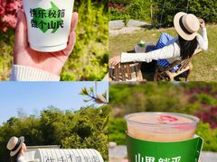 -四明湖