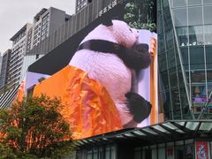 -合景·悠方(成都店)