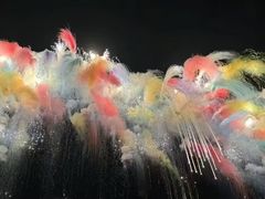 -大地红烟花爆竹经营部