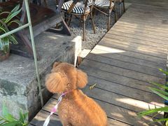-喜洲吧·江畔老船厂·庭院餐厅(喜临院店)