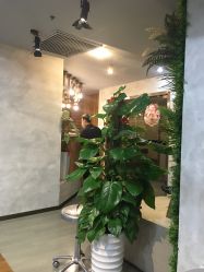 点击看大图 -V-STAR威斯达•高级私人定制