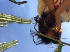 -东莞植物园