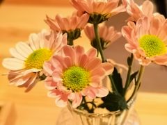 -酒井酱子·深夜食堂(东城汇店)