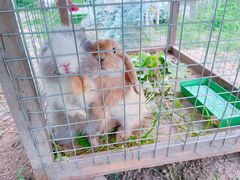 -安德鲁户外烧烤帐篷营地(马泉营店)