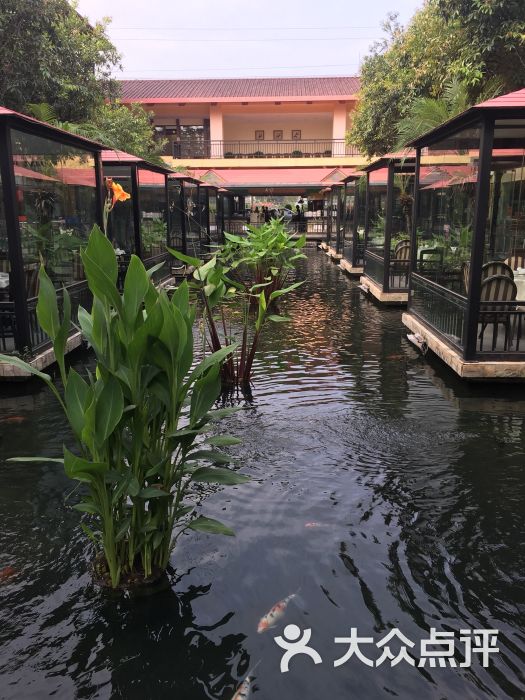 鹅公村(芳村店)图片 - 第1张