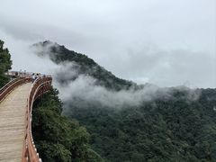-少华山国家森林公园