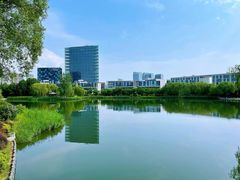 -大兴滨河森林公园