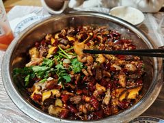 -食神又名厕所兔