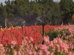 -海心沙亚运公园